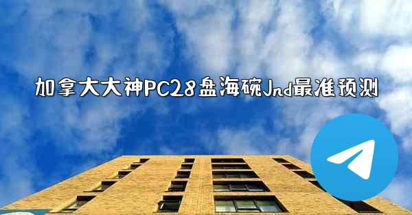 加拿大大神PC28盘海碗Jnd最准预测