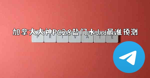 加拿大大神PC28盐门水Jnd最准预测