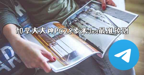 加拿大大神PC28象米Jnd最准预测