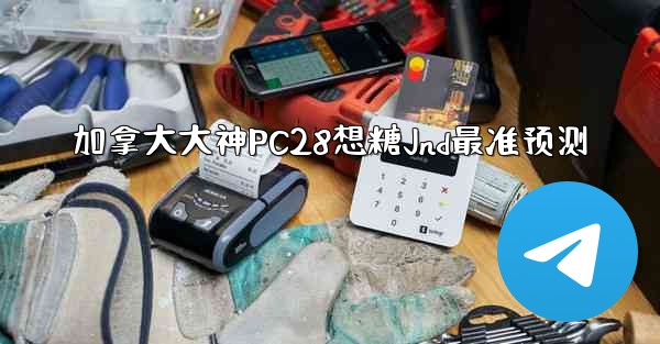 加拿大大神PC28想糖Jnd最准预测