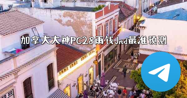 加拿大大神PC28雨钱Jnd最准预测