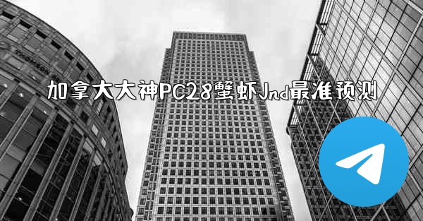 加拿大大神PC28蟹虾Jnd最准预测