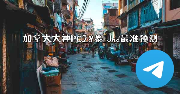 加拿大大神PC28象鹅Jnd最准预测
