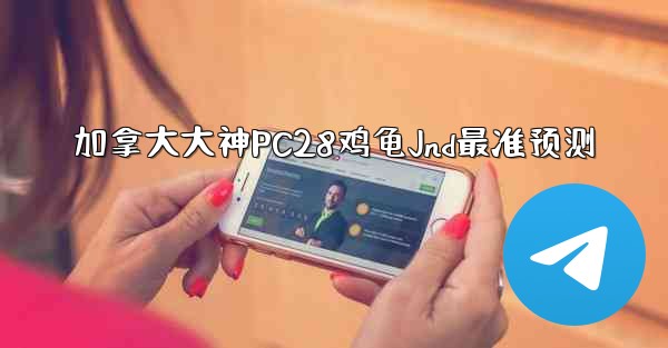 加拿大大神PC28鸡龟Jnd最准预测
