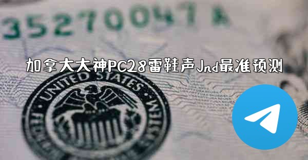 加拿大大神PC28雷鞋声Jnd最准预测