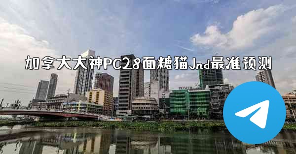 加拿大大神PC28面糖猫Jnd最准预测