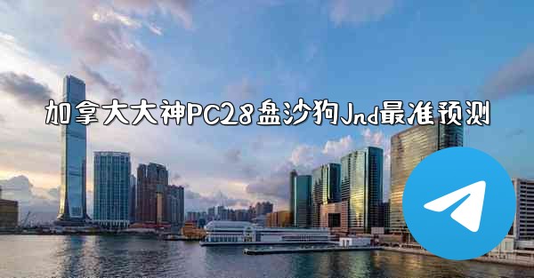 加拿大大神PC28盘沙狗Jnd最准预测