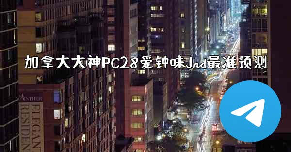 加拿大大神PC28爱钟味Jnd最准预测