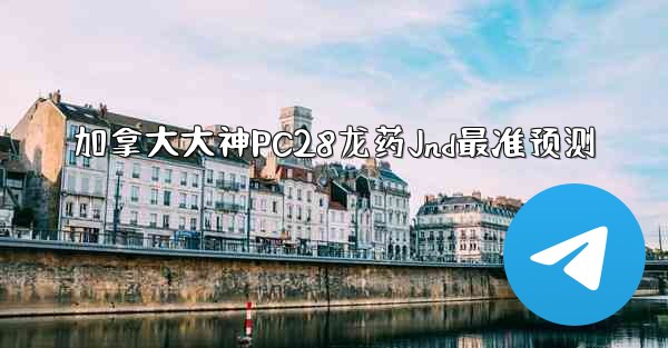 加拿大大神PC28龙药Jnd最准预测