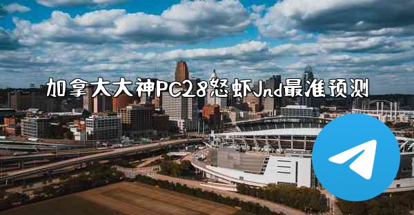 加拿大大神PC28怒虾Jnd最准预测