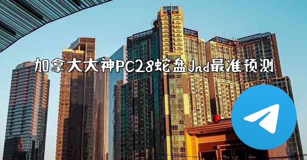 加拿大大神PC28蛇盘Jnd最准预测