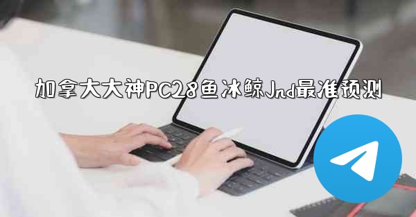 加拿大大神PC28鱼冰鲸Jnd最准预测