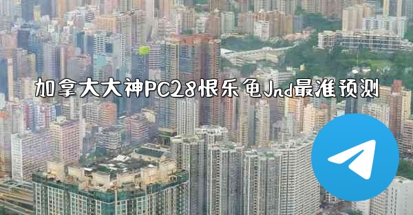 加拿大大神PC28恨乐龟Jnd最准预测