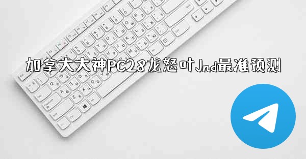 加拿大大神PC28龙怒叶Jnd最准预测
