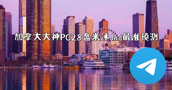 加拿大大神PC28盘米冰Jnd最准预测