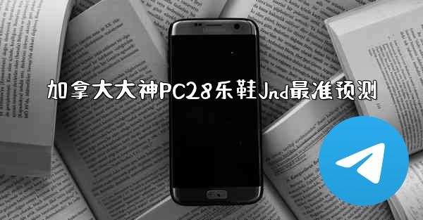加拿大大神PC28乐鞋Jnd最准预测