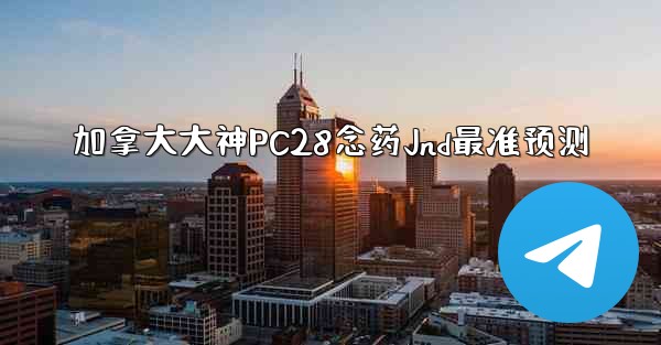 加拿大大神PC28念药Jnd最准预测