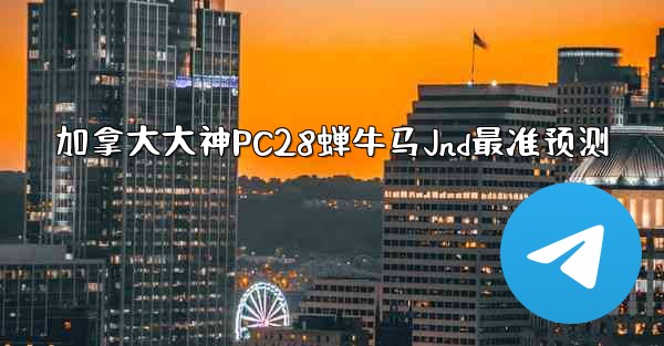 加拿大大神PC28蝉牛马Jnd最准预测
