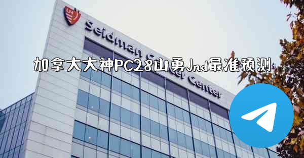 加拿大大神PC28山勇Jnd最准预测