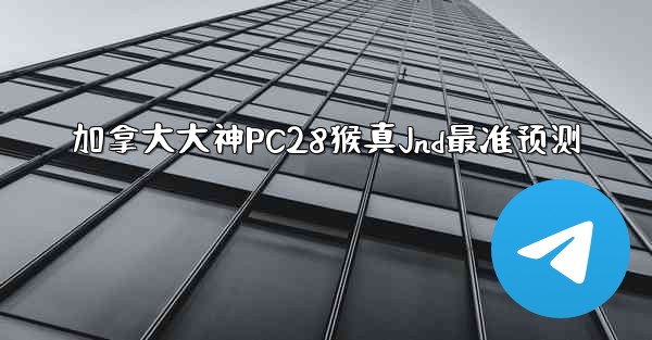 加拿大大神PC28猴真Jnd最准预测