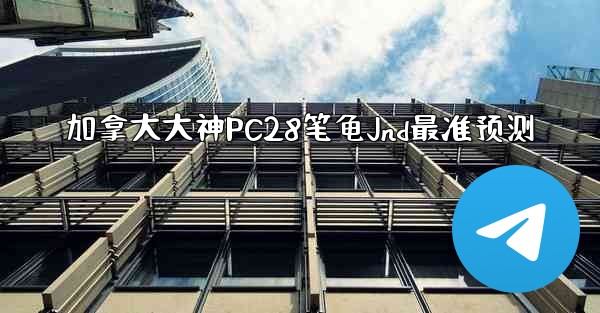 加拿大大神PC28笔龟Jnd最准预测