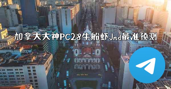 加拿大大神PC28牛船虾Jnd最准预测