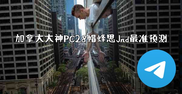 加拿大大神PC28帽蜂思Jnd最准预测