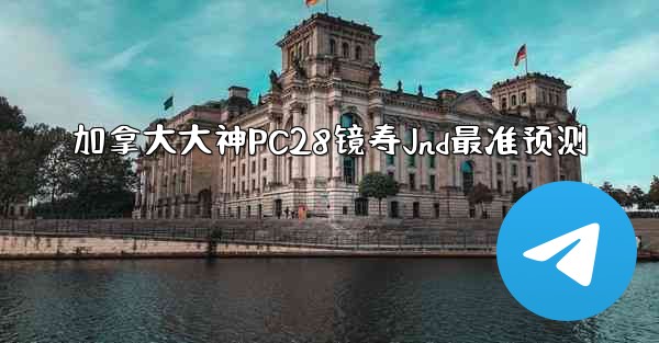 加拿大大神PC28镜寿Jnd最准预测