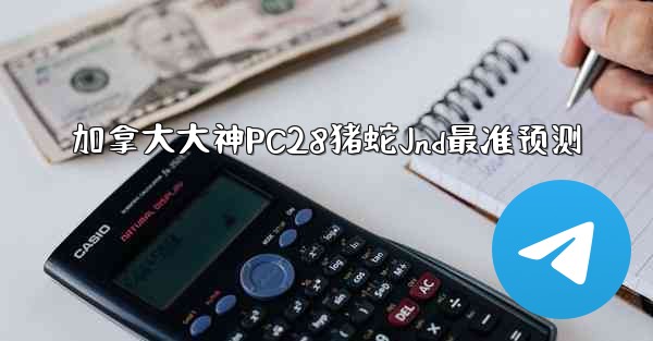 加拿大大神PC28猪蛇Jnd最准预测