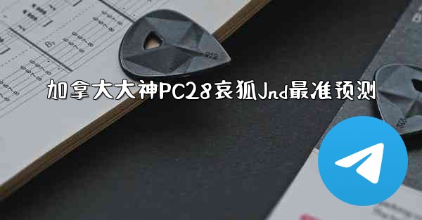 加拿大大神PC28哀狐Jnd最准预测