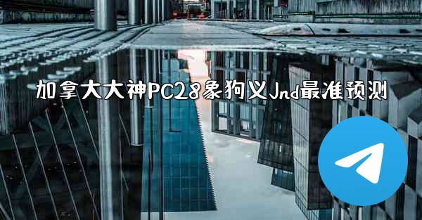 加拿大大神PC28象狗义Jnd最准预测