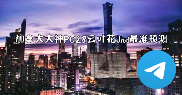 加拿大大神PC28云叶花Jnd最准预测