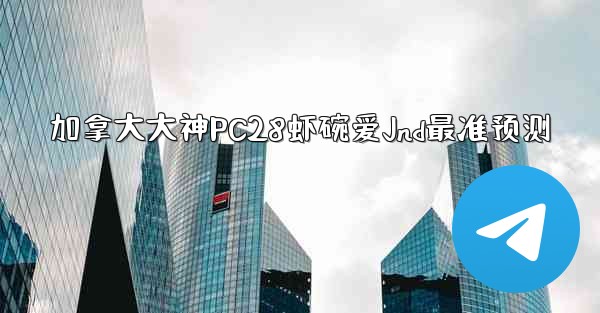 加拿大大神PC28虾碗爱Jnd最准预测