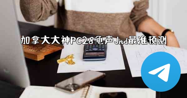 加拿大大神PC28龟声Jnd最准预测