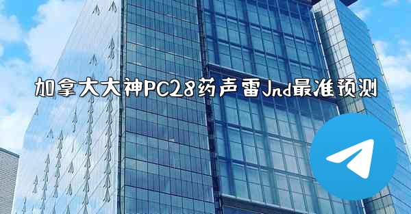 加拿大大神PC28药声雷Jnd最准预测