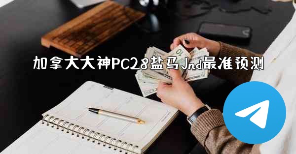 加拿大大神PC28盐马Jnd最准预测