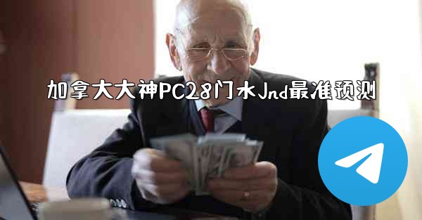 加拿大大神PC28门水Jnd最准预测