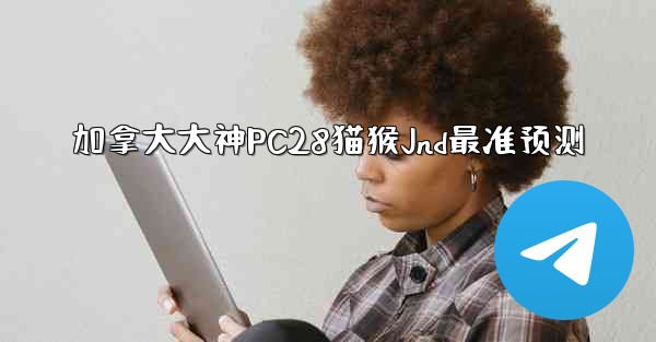 加拿大大神PC28猫猴Jnd最准预测