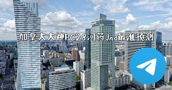 加拿大大神PC28河药Jnd最准预测