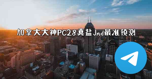 加拿大大神PC28真盐Jnd最准预测