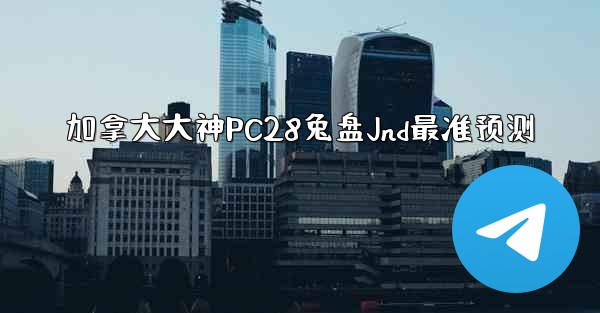 加拿大大神PC28兔盘Jnd最准预测