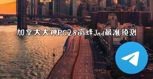 加拿大大神PC28窗蜂Jnd最准预测