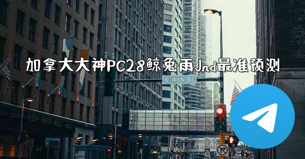 加拿大大神PC28鲸兔雨Jnd最准预测