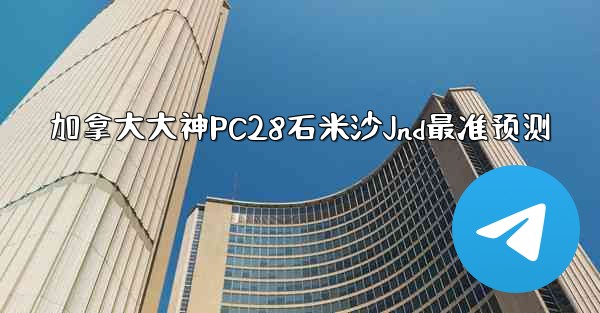 加拿大大神PC28石米沙Jnd最准预测