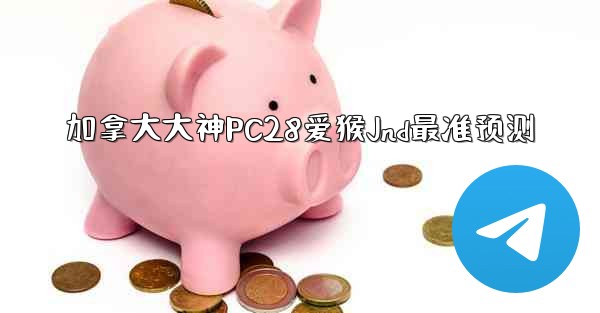 加拿大大神PC28爱猴Jnd最准预测
