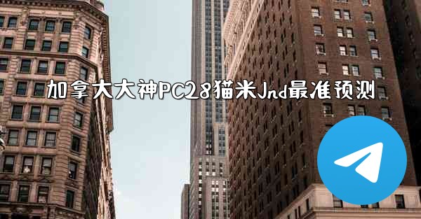 加拿大大神PC28猫米Jnd最准预测