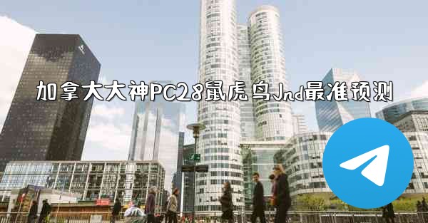 加拿大大神PC28鼠虎鸟Jnd最准预测