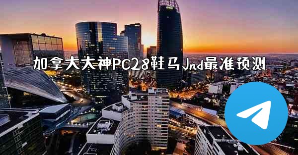 加拿大大神PC28鞋马Jnd最准预测