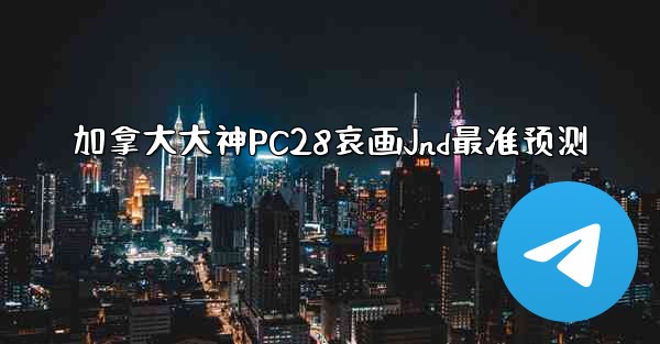 加拿大大神PC28哀画Jnd最准预测
