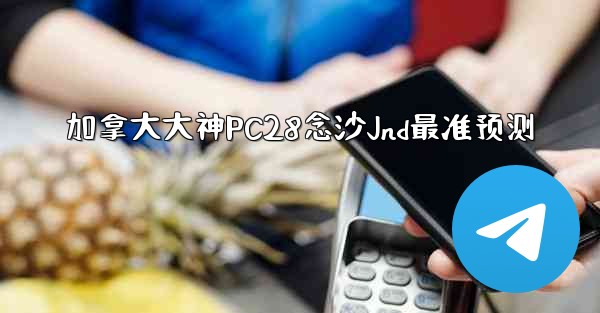 加拿大大神PC28念沙Jnd最准预测